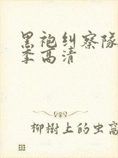 黑袍纠察队第三季高清