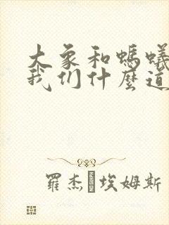 大象和蚂蚁告诉我们什么道理