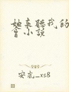 她来听我的演唱会小说封面