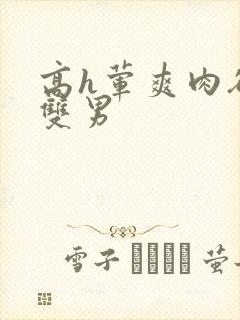 高h荤爽肉欲文双男