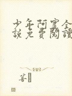 少年阿宾全文小说免费阅读笔趣阁封面