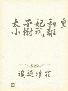 太子妃和皇上在小树我离封面
