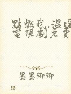 点燃我,温暖你电视剧免费观看2023