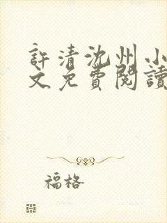 许清沈州小说全文免费阅读封面