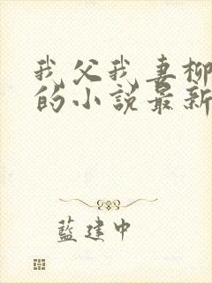我父我妻柳如烟的小说最新章节更新封面