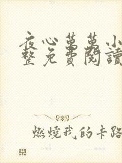 夜心万万小说完整免费阅读全文