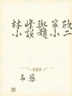 林峰与宁欣正版小说赵小二