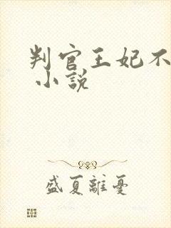 判官王妃不好惹 小说封面