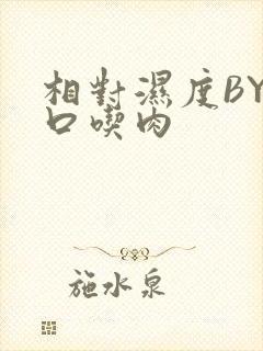 相对湿度BY大口吃肉