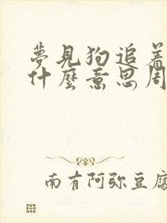 梦见狗追着跑是什么意思周公解梦封面