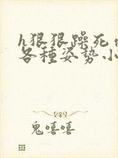 h狠狠躁死你h各种姿势小说