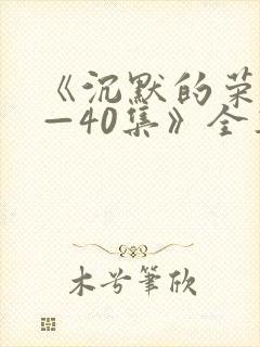 《沉默的荣耀1—40集》全集免费观看