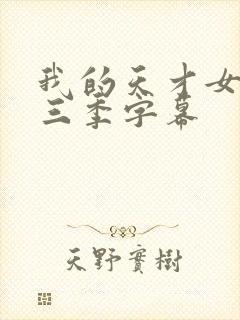 我的天才女友第三季字幕