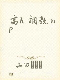 高h 调教 np封面