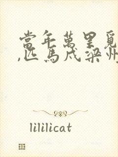 当年万里觅封侯,匹马戍梁州.封面