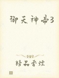 御天神帝3封面