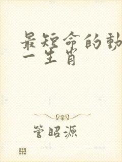 最短命的动物猜一生肖封面