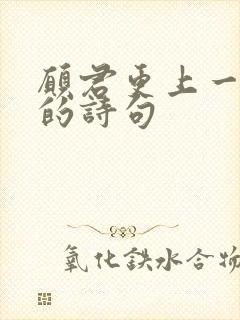 愿君更上一层楼的诗句