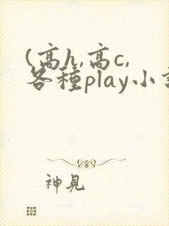 (高h,高c,各种play小说