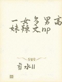 一女多男高h兄妹辣文np