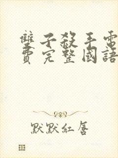 双子杀手电影免费完整国语版