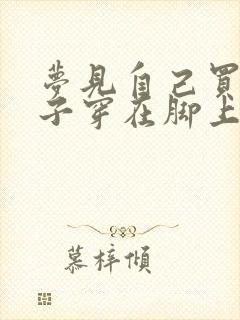 梦见自己买新鞋子穿在脚上