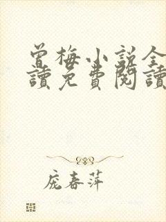 曾梅小说全文阅读免费阅读最新章节封面