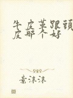 牛皮革跟头层牛皮哪个好