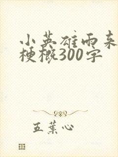 小英雄雨来全书梗概300字封面