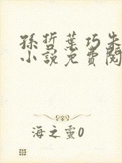 孙哲叶巧朱颜的小说免费阅读