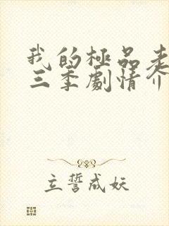 我的极品老婆第三季剧情介绍