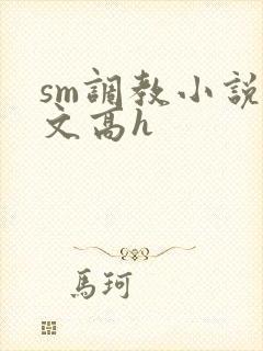 sm调教小说辣文高h