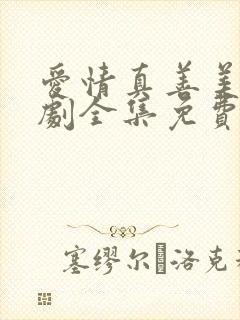 爱情真善美电视剧全集免费观看