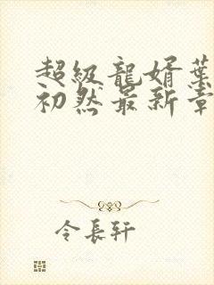 超级龙婿叶辰萧初然最新章节封面