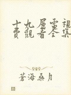 十九层电视剧免费观看全集完整版封面