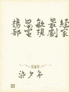 杨思敏最经典十部电视剧家有日本妻