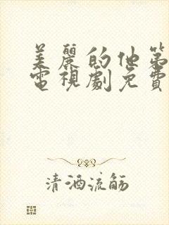 美丽的他第一季电视剧免费观看全集高清