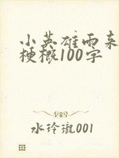 小英雄雨来全书梗概100字封面
