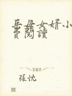 岳母女婿小说免费阅读