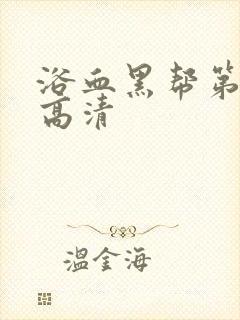 浴血黑帮第一季高清封面