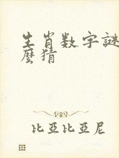 生肖数字谜语怎么猜