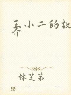 王小二的故事简介封面