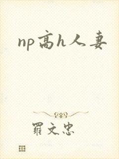 np高h人妻封面