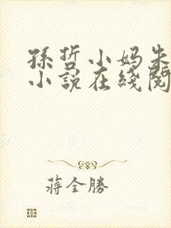 孙哲小妈朱颜的小说在线阅读