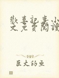 欢喜记事小说全文免费阅读