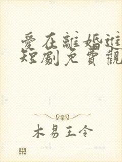 爱在离婚进行时短剧免费观看