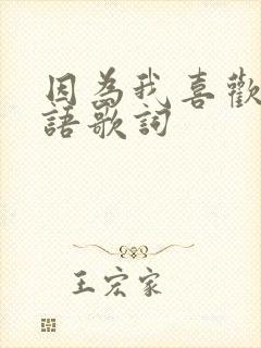 因为我喜欢你日语歌词