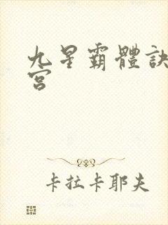 九星霸体诀无量宫封面