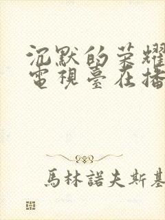 沉默的荣耀哪些电视台在播放