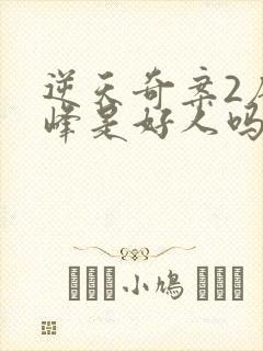 逆天奇案2唐冠峰是好人吗